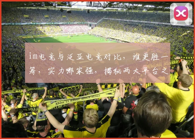 im电竞与泛亚电竞对比，谁更胜一筹，实力哪家强，揭秘两大平台之争，选谁