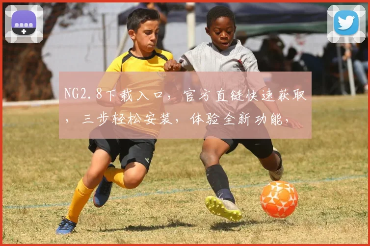 NG2.8下载入口，官方直链快速获取，三步轻松安装，体验全新功能，不容错过