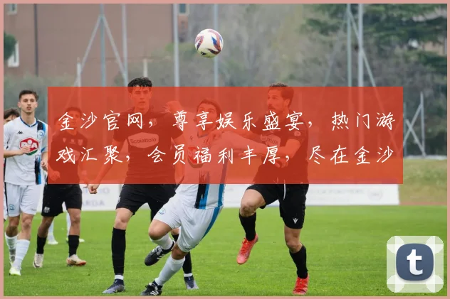金沙官网，尊享娱乐盛宴，热门游戏汇聚，会员福利丰厚，尽在金沙官网，体验非凡
